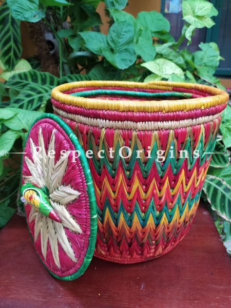 Buy Rainbow in a Basket! Natural Moonj Grass Woven Laundry Basket ke Planter with a Lidat  at RespectOrigins.com