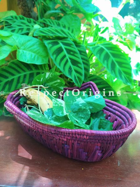 Healthy Vibrance in Handwoven Purple Organic Moonj Grass Fruit or Knick-knack Oval Basket; height 4 x 11 X 14 Inches