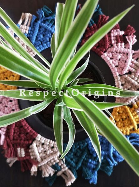 Buy Round Table Mat, Hand Woven Macrame, Multi-colour, 7.5 Inches At RespectOrigins.com