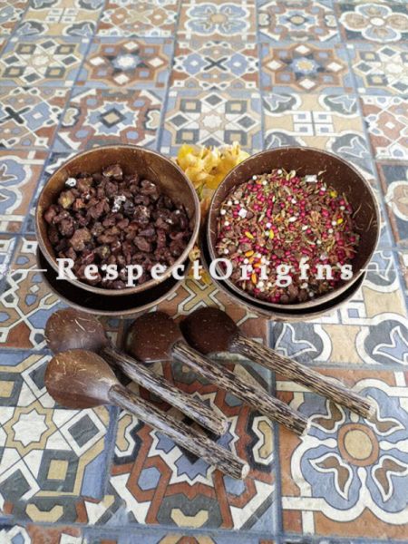 Set of 4 Natural Coconut Shells Snack Bowl with Spoons, Handcrafted|RespectOrigins
