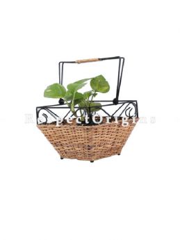 Buy Hand Braided Rattan Cane Planter with Wrought Iron trimming and handlein 9x6x9 inches|RespectOrigins