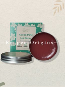 Combo Of Coco Mint Lip Balm, Coco Mango Lip Scrub Honey Cinnamon Lip Scrub; RespectOrigins.com