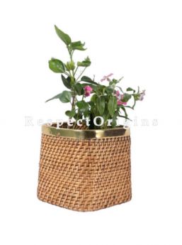 Buy Ecofriendly Hand Braided Cubical Rattan Cane Planter with Brass Trimin 10x10 inches; RespectOrigins.com