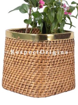 Buy Ecofriendly Hand Braided Cubical Rattan Cane Planter with Brass Trimin 10x10 inches; RespectOrigins.com