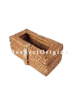 Buy Ecofriendly Handmade Rattan Cane Tissue Holder Box with Brass Hookin 5x4x9 inches; RespectOrigins.com
