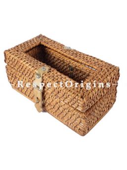 Buy Ecofriendly Handmade Rattan Cane Tissue Holder Box with Brass Hookin 5x4x9 inches; RespectOrigins.com