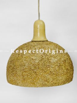 Buy Hanging Lamp; 12 Inches Length,8 Inches Height  at RespectOrigins.com