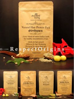 Organic Hair Pack; Natural Hair Protein Pack, Henna Mix, Anti Dandruff Pack, Soapnut Powder, Shikakai Hair Cleanser; Pack of 5, 100 gms Each; RespectOrigins. com