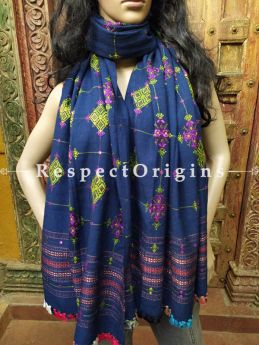 Luxurious Handloom Fine Soof Embroidered Woollen Navy Blue Shawl With Green and Purple Embroidery Online at RespectOrigins.com