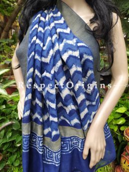 Blue Maheshwari Saree with Floral Motifs; Blouse included; RespectOrigins.com