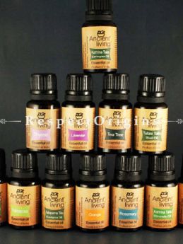 Essential Oils Set; 12(10Ml Bottles) at RespectOrigins. com