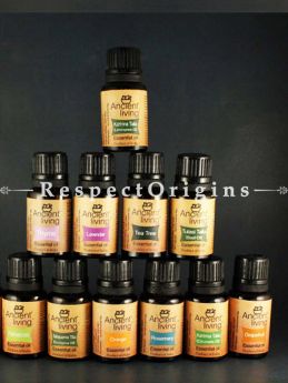 Essential Oils Set; 12(10Ml Bottles) at RespectOrigins. com