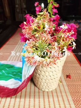 Buy Handwoven Eco-friendly Natural Palm Leaf Basket; RespectOrigins.com