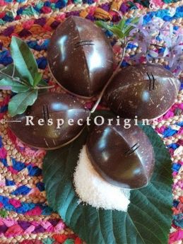 Buy Beautiful Salt and Pepper Shakers One of A kind Coconut Shell; 4 Pieces Set At RespectOrigins.com